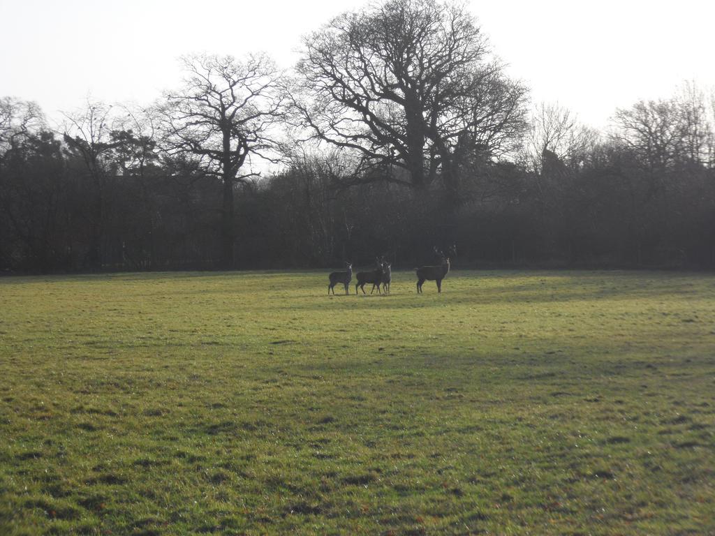 The Stables - Deer Park Farm Bed & Breakfast Solihull Room photo